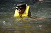 camp30 (389)_thumb.png